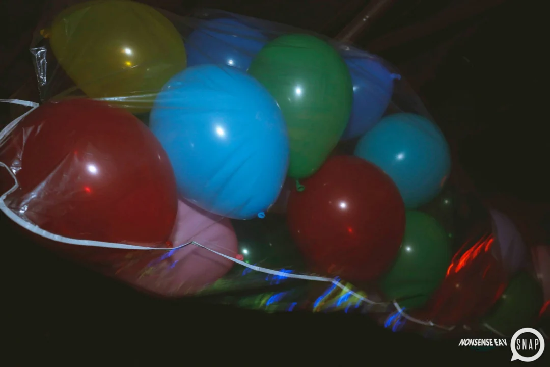 Nonsense EAV Launch, May 29, 2015. Photo by Oh Snap Kid.