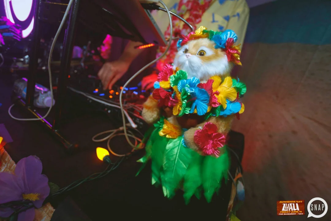 Nonsense EAV Luau, June 19. Come to our events, they're ridiculous. Photos by Oh Snap Kid.