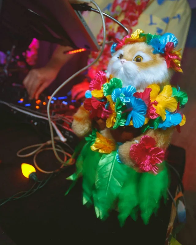 Nonsense EAV Luau, June 19. Come to our events, they're ridiculous. Photos by Oh Snap Kid.