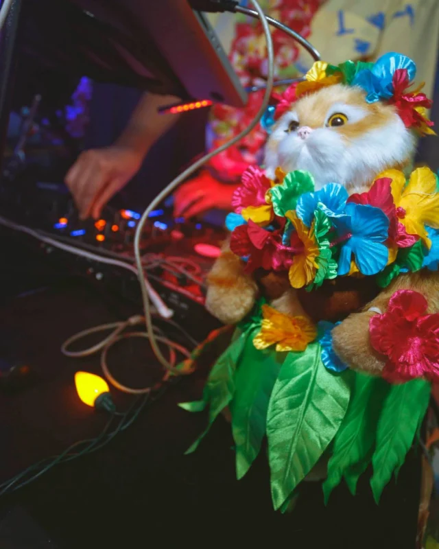 Nonsense EAV Luau, June 19. Come to our events, they're ridiculous. Photos by Oh Snap Kid.