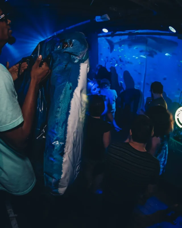 Nonsense EAV: Under The Sea! Atlanta's Indie/alternative dance party on the 3rd Fridays at The Basement in East Atlanta. We get ridiculous. Photo by Oh Snap Kid!