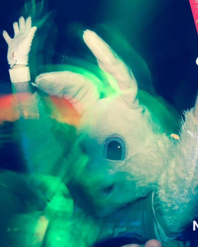 Nonsense EAV - St Pats 2017! It was so green! There was a giant rainbow and pot of gold! There was Dance Bunny sharing Lucky Charms! Crowd surfing leprechaun! Kimber was the DJ! 3rd Friday of Every Month at The Basement in East Atlanta.