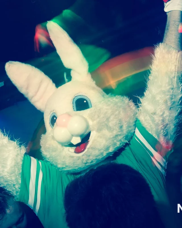 Nonsense EAV - St Pats 2017! It was so green! There was a giant rainbow and pot of gold! There was Dance Bunny sharing Lucky Charms! Crowd surfing leprechaun! Kimber was the DJ! 3rd Friday of Every Month at The Basement in East Atlanta.