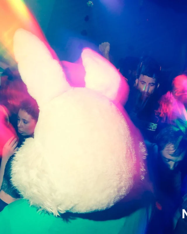 Nonsense EAV - St Pats 2017! It was so green! There was a giant rainbow and pot of gold! There was Dance Bunny sharing Lucky Charms! Crowd surfing leprechaun! Kimber was the DJ! 3rd Friday of Every Month at The Basement in East Atlanta.