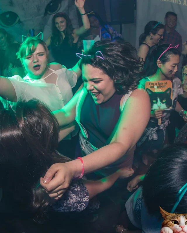 Nonsense EAV: MEOW! June 16 2017! Atlanta's Indie Pop Dance Party at The Basement! 3rd Friday of every month! Kimber is the Dj. Photos by Oh Snap!