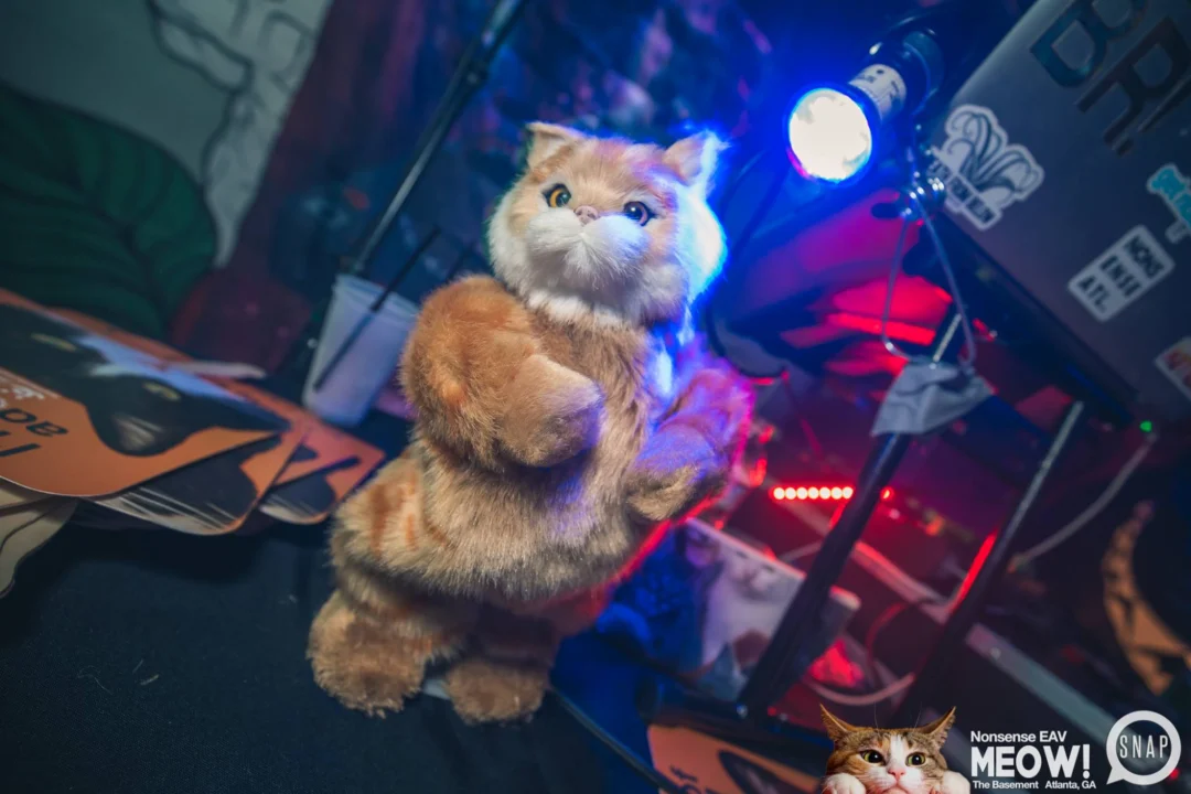 Nonsense EAV: MEOW! June 16 2017! Atlanta's Indie Pop Dance Party at The Basement! 3rd Friday of every month! Kimber is the Dj. Photos by Oh Snap!