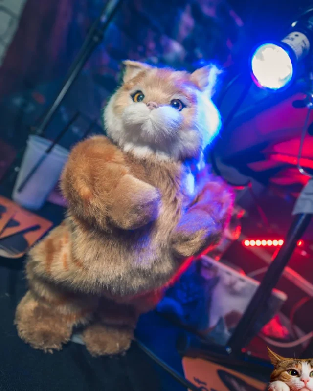Nonsense EAV: MEOW! June 16 2017! Atlanta's Indie Pop Dance Party at The Basement! 3rd Friday of every month! Kimber is the Dj. Photos by Oh Snap!