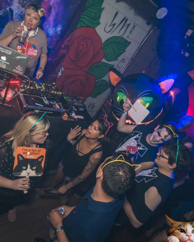 Nonsense EAV: MEOW! June 16 2017! Atlanta's Indie Pop Dance Party at The Basement! 3rd Friday of every month! Kimber is the Dj. Photos by Oh Snap!