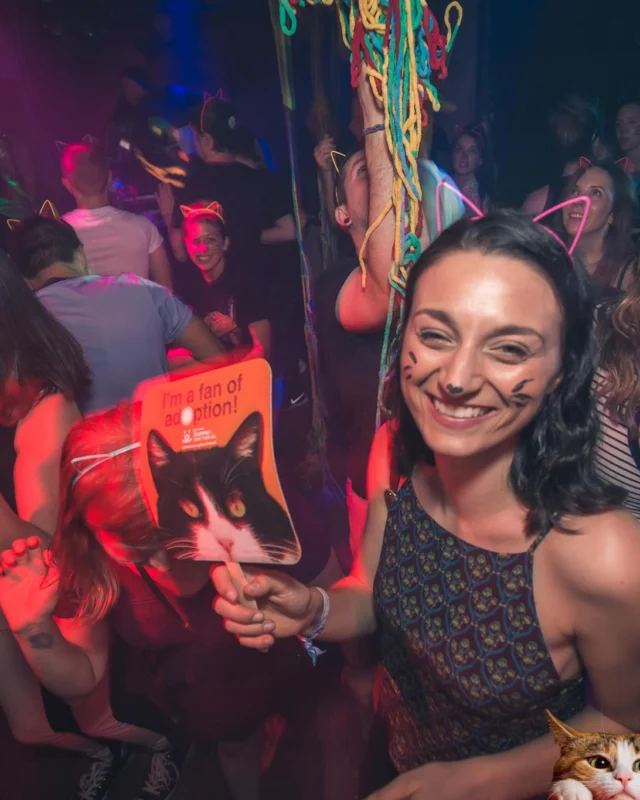Nonsense EAV: MEOW! June 16 2017! Atlanta's Indie Pop Dance Party at The Basement! 3rd Friday of every month! Kimber is the Dj. Photos by Oh Snap!