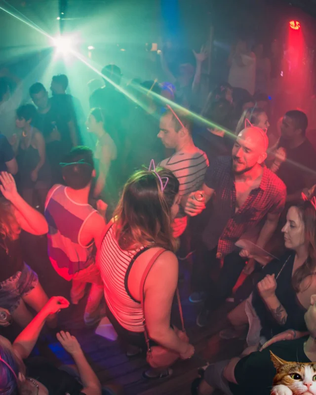 Nonsense EAV: MEOW! June 16 2017! Atlanta's Indie Pop Dance Party at The Basement! 3rd Friday of every month! Kimber is the Dj. Photos by Oh Snap!