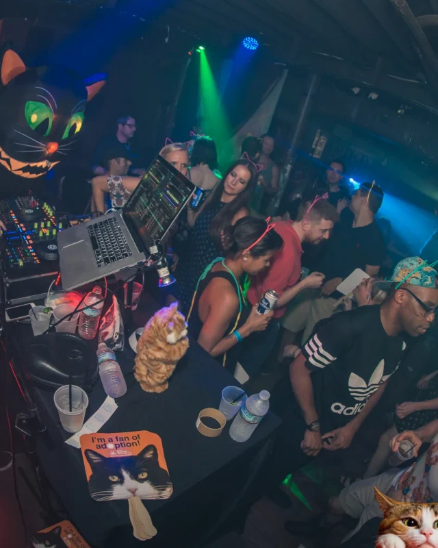 Nonsense EAV: MEOW! June 16 2017! Atlanta's Indie Pop Dance Party at The Basement! 3rd Friday of every month! Kimber is the Dj. Photos by Oh Snap!