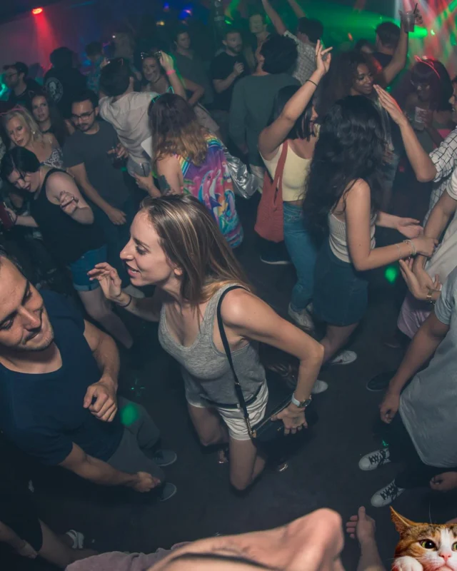 Nonsense EAV: MEOW! June 16 2017! Atlanta's Indie Pop Dance Party at The Basement! 3rd Friday of every month! Kimber is the Dj. Photos by Oh Snap!