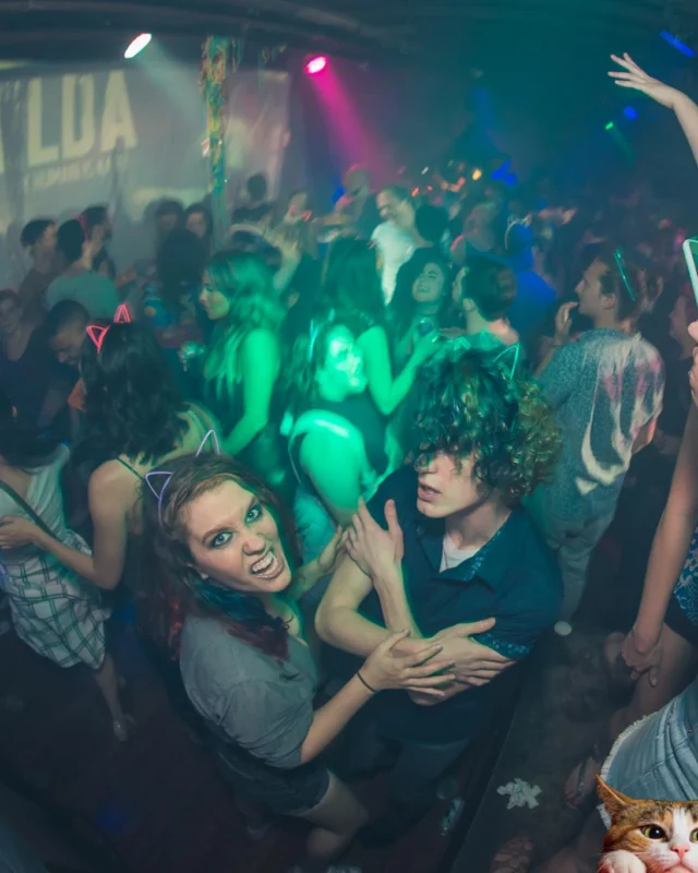 Nonsense EAV: MEOW! June 16 2017! Atlanta's Indie Pop Dance Party at The Basement! 3rd Friday of every month! Kimber is the Dj. Photos by Oh Snap!