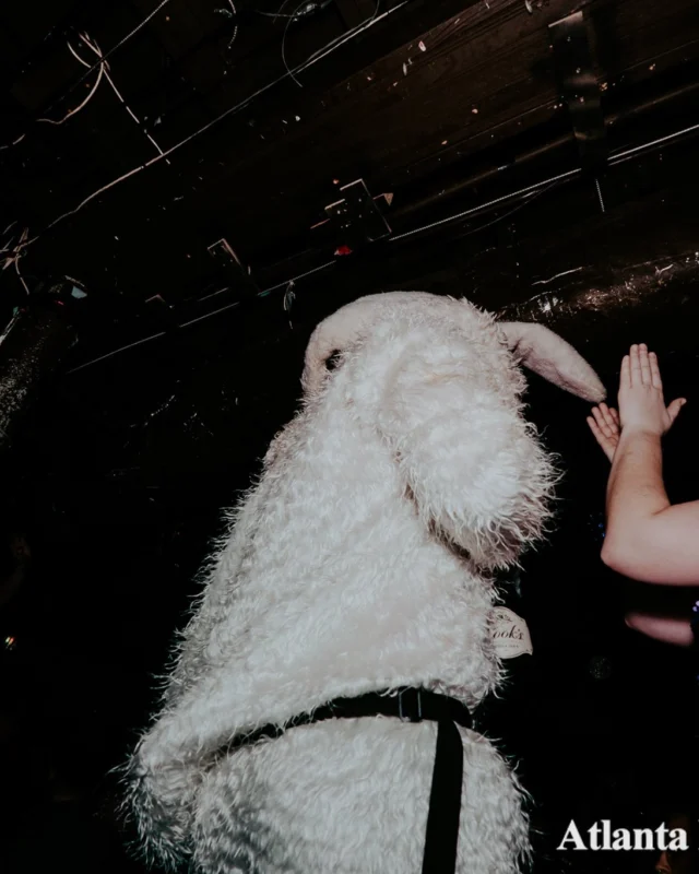 Atlanta Disco Society VII - February 15th 2020. Atlanta disco'd The Basement and left it sweaty with a big smile on its face. Kimber was the DJ. Photos by Oh Snap (Matthew Alexander)