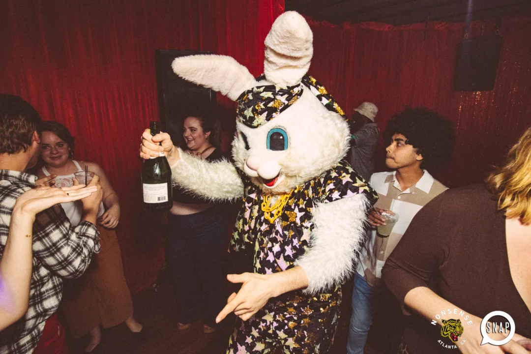 Atlanta Disco Society XIII