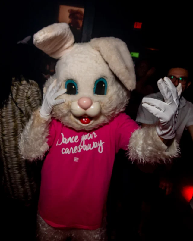 Nonsense dance party - April 2025 (Easter Edition) - Kimber and Tacosaurus Rex were the DJs - Photo by @hellacurious