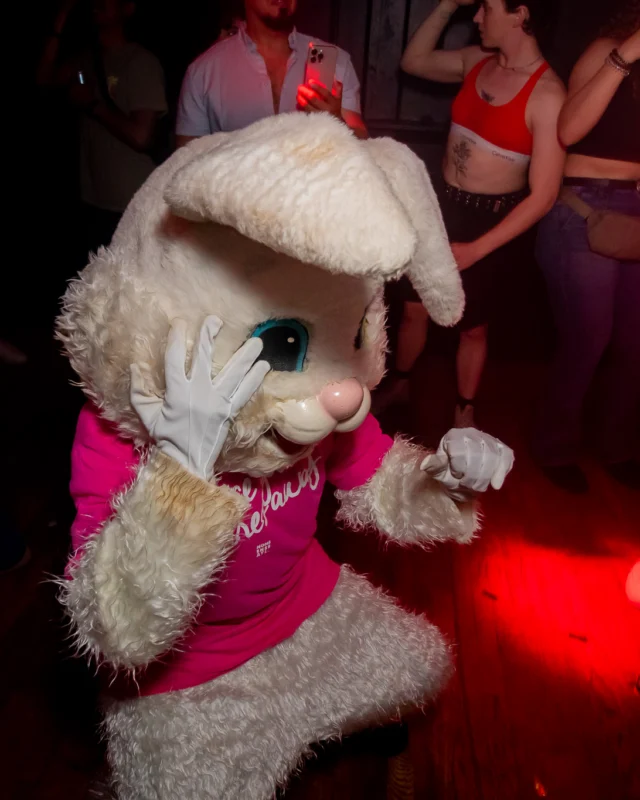 Nonsense dance party - April 2025 (Easter Edition) - Kimber and Tacosaurus Rex were the DJs - Photo by @hellacurious