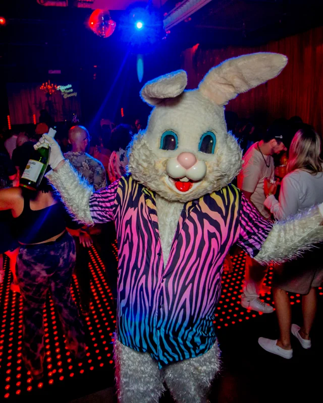 Atlanta Disco Society XVIII. Saturday September 12, 2026 at The Garden Club. Kimber was the DJ. Y'all, that dance floor. The disco skaters. The disco vibes we immaculate. Atlanta is a disco city. Photo: @hellacurious